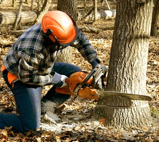 Tree Removal in Milfay, OK